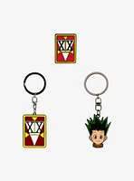 Hunter x Hunter Metal Pin and Keychain