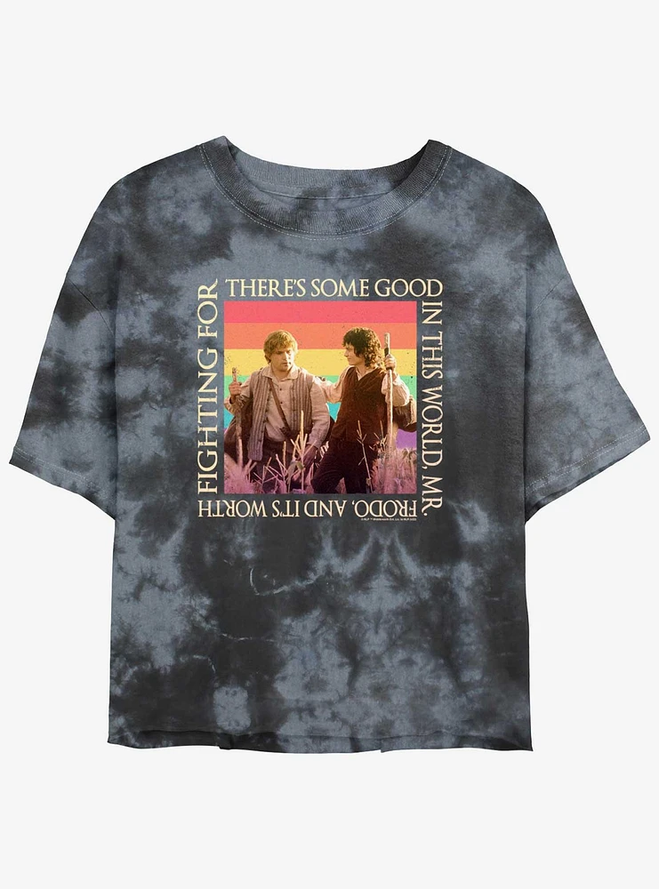 The Lord of Rings Sam and Frodo Good World Girls Tie-Dye Crop T-Shirt