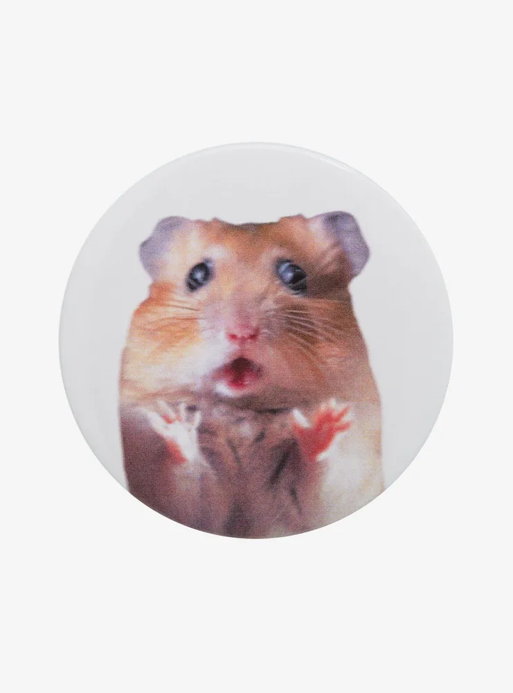 what does kicked the bucket mean hamster｜TikTok Search