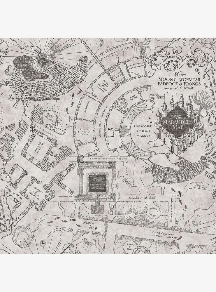 Harry Potter Marauder's Map Grey Peel & Stick Wallpaper