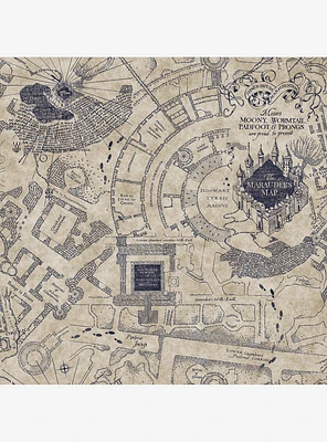 Harry Potter Marauder's Map Peel & Stick Wallpaper