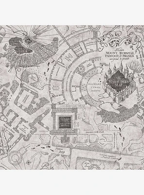 Harry Potter Marauder's Map Grey Peel & Stick Wallpaper