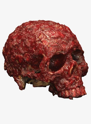 Blood Scab Resin Skull Decor