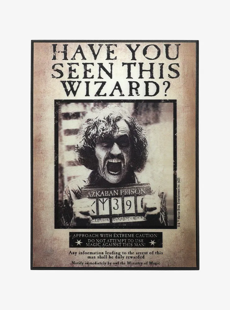Harry Potter Sirius Black Have You Seen This Wizard Lenticular Wall Art