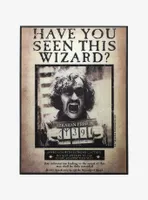 Harry Potter Sirius Black Have You Seen This Wizard Lenticular Wall Art