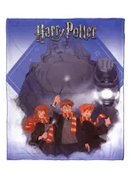 WB 100 Harry Potter Guide Us Hagrid Silk Touch Throw