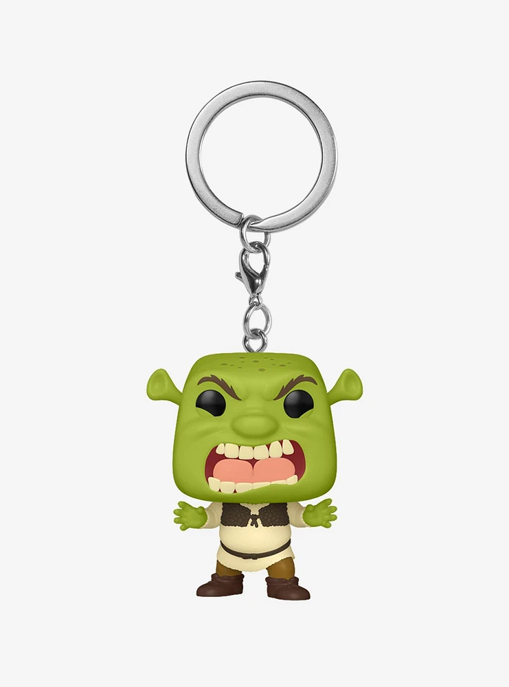 Funko Pocket Pop! DreamWorks Shrek Vinyl Keychain - BoxLunch Exclusive