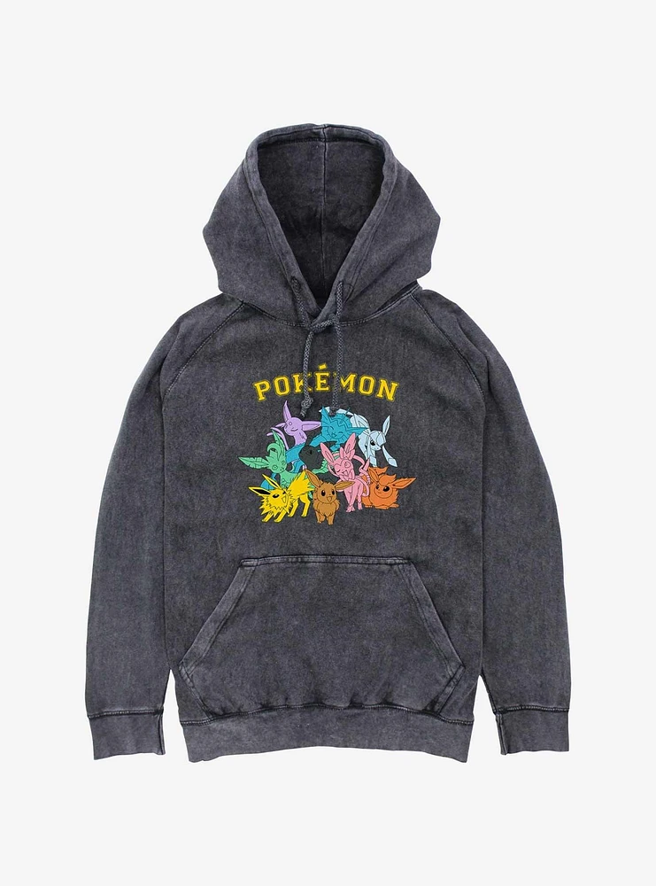 Pokemon Gotta Catch Eeveelutions Mineral Wash Hoodie