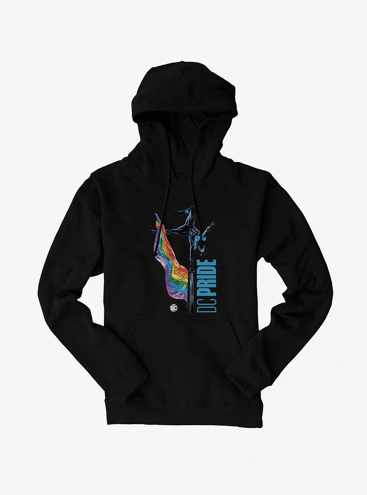 DC Batman Nightwing Pride Hoodie