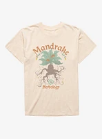 Harry Potter Mandrake Mineral Wash T-Shirt