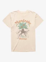 Harry Potter Mandrake Mineral Wash T-Shirt