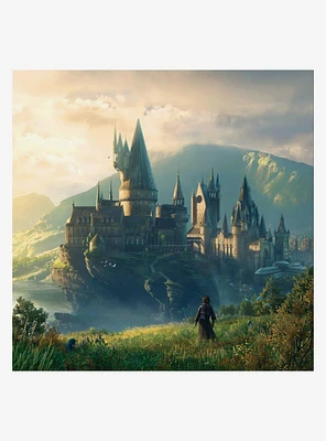 Harry Potter Hogwarts Legacy O.S.T. Vinyl LP