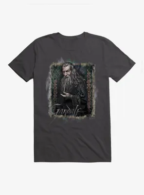 The Hobbit: An Unexpected Journey Gandalf Grey T-Shirt