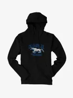 Charlie The Unicorn Stitches Hoodie