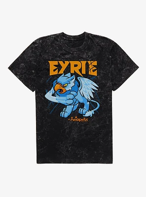 Neopets Eyrie Mineral Wash T-Shirt