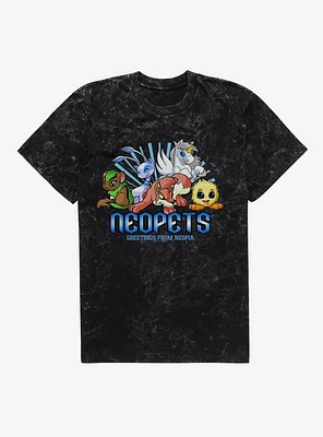 Neopets Greetings From Neopia Mineral Wash T-Shirt