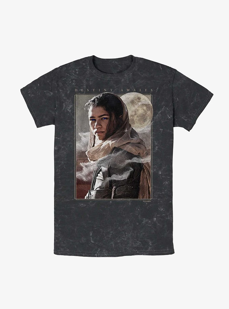 Dune: Part Two Destiny Awaits Chani Mineral Wash T-Shirt