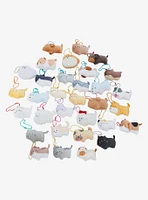 Dogs & Cats Mini Blind Assorted Plush Keychain