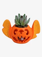 Disney Stitch Pumpkin Light-Up Faux Succulent Planter