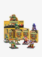 Mighty Jaxx Arcade: Teenage Mutant Ninja Turtles Blind Box Figure