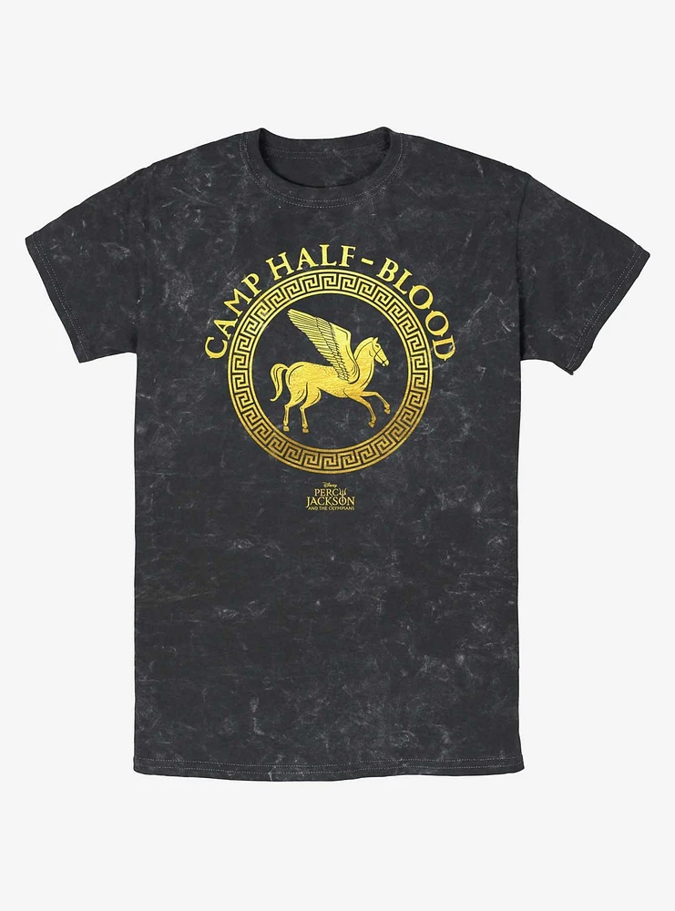 Disney Percy Jackson And The Olympians Camp Half Blood Emblem Logo Mineral Wash T-Shirt
