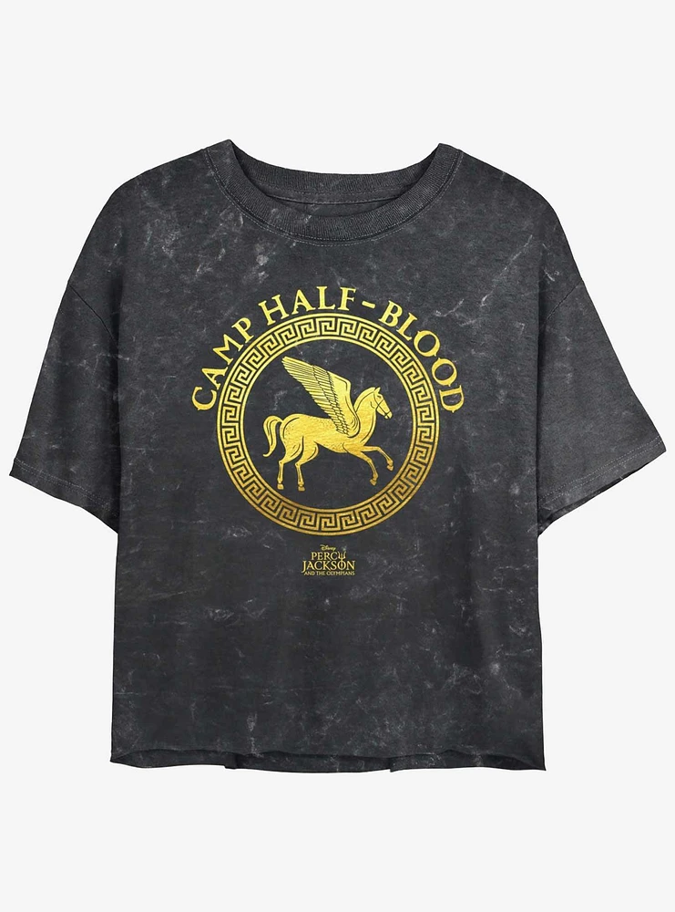 Disney Percy Jackson And The Olympians Camp Half Blood Emblem Logo Mineral Wash Girls Crop T-Shirt