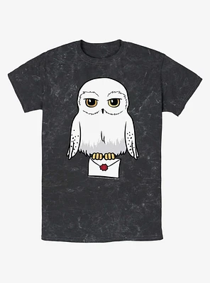 Harry Potter Anime Hedwig Mail Mineral Wash T-Shirt
