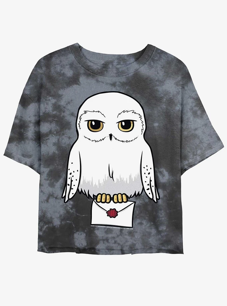 Harry Potter Anime Hedwig Mail Girls Tie-Dye Crop T-Shirt