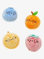 Pusheen Fruits Blind Assorted 4 Inch Plush