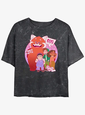 Disney Pixar Turning Red Panda Group Girls Mineral Wash Crop T-Shirt
