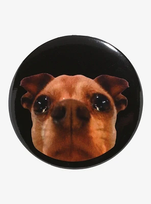 Sad Dog 3 Inch Button