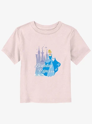 Disney Cinderella Bday Princess Toddler T-Shirt