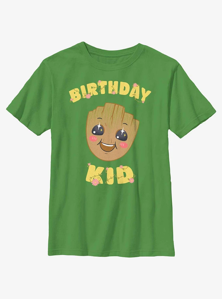 Marvel Guardians Of The Galaxy Birthday Kid Groot Youth T-Shirt