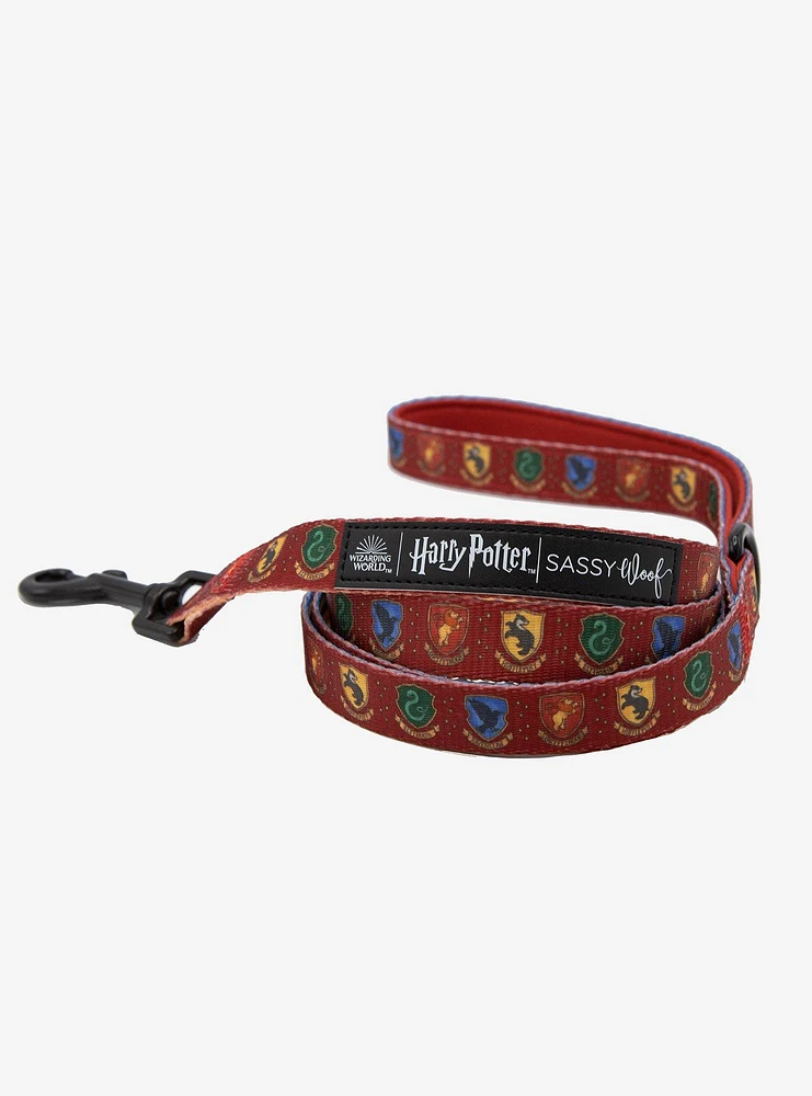 Harry Potter x Sassy Woof Dog Leash