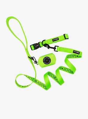 Sassy Woof Neon Green Dog Walk Bundle