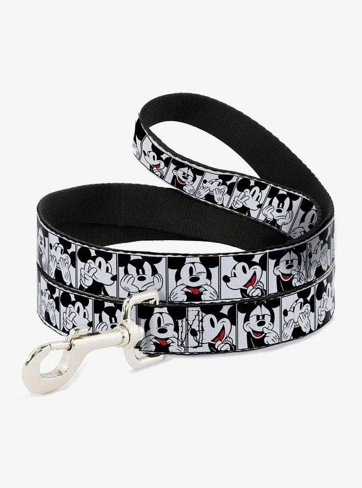 Disney Mickey Mouse Expression Blocks Dog Leash