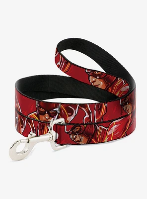 DC Comics The Flash 2023 Pose Close Up Dog Leash