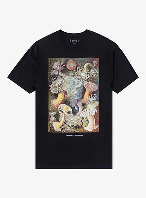 Sea Anemone T-Shirt By Friday Jr