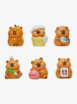 Capybara Blind Box Figure