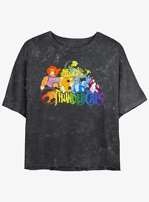 Thundercats Rainbow Cats Womens Mineral Wash Crop T-Shirt