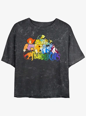 ThunderCats Rainbow Cats Girls Mineral Wash Crop T-Shirt