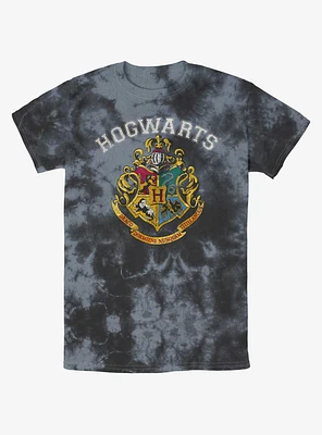 Harry Potter Vintage Logo Tie-Dye T-Shirt