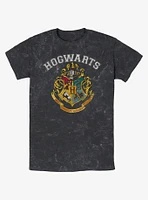 Harry Potter Vintage Logo Mineral Wash T-Shirt