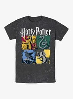 Harry Potter All Hogwarts Houses Mineral Wash T-Shirt