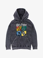 Harry Potter All Hogwarts Houses Mineral Wash Hoodie