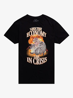 Crisis Economy T-Shirt By Got Funny?