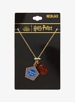 Harry Potter Chocolate Frog Magnetic Necklace