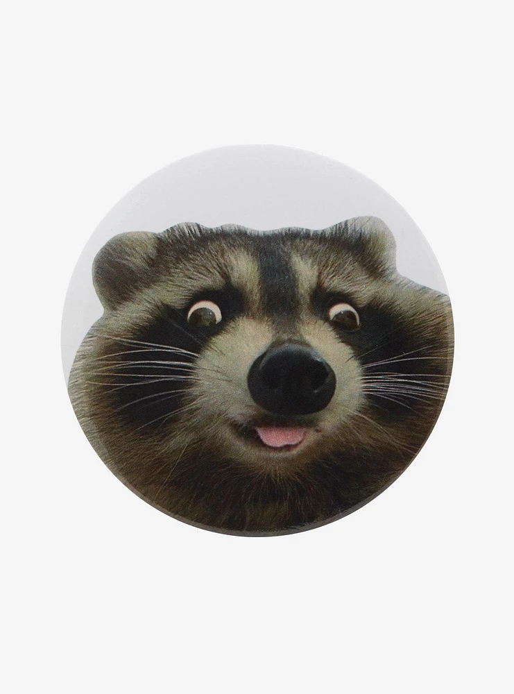 Silly Raccoon 3 Inch Button