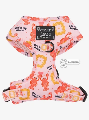 Friends x Sassy Woof You're My Lobster Adjustable Dog Harness