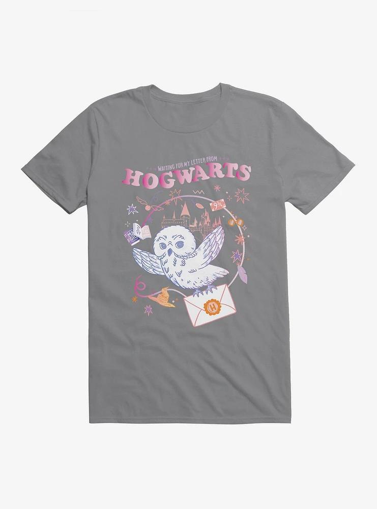 Harry Potter Hedwig Letter From Hogwarts T-Shirt